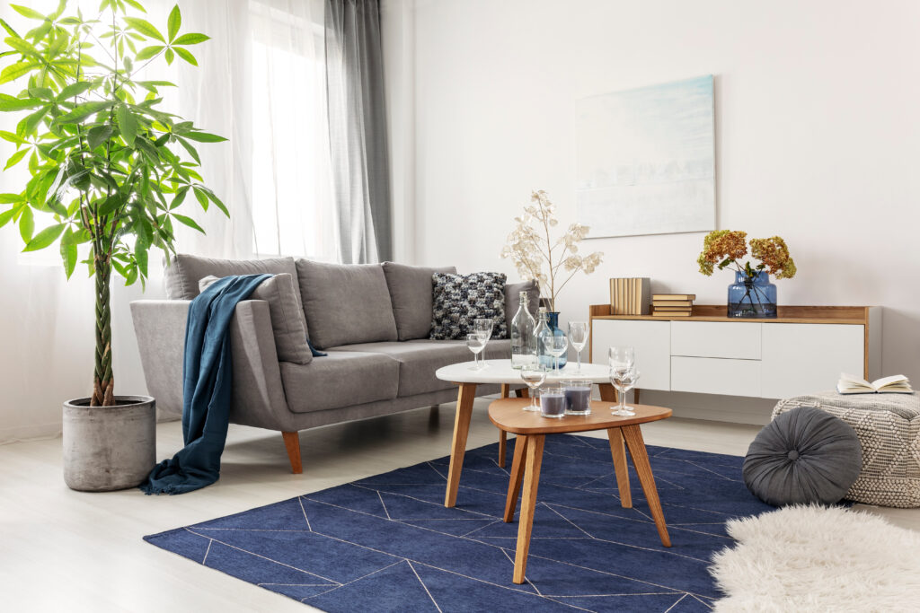 cozy living room with blue carpet, potted plant, grey couch, wooden table and fuzzy blanket